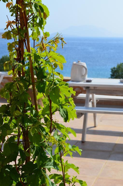 Villa Aristoteles Chalki Town Pokoj fotografie